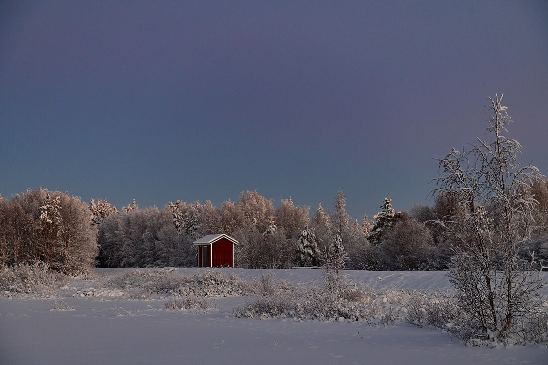 Kleine Hütte in verschneiter Winterlandschaft am See, Arjeplog, Lappland, Schweden