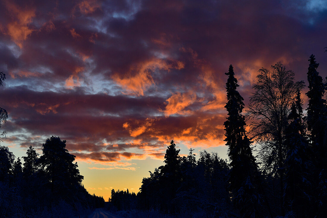Leuchtende Wolken am Morgenhimmel im Winter in Lappland, Storuman, Västerbottens Län, Schweden