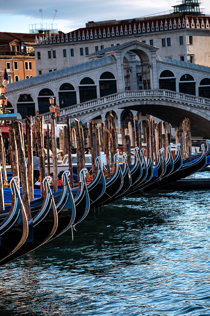 Blick auf die Gondeln an der Rialto Brücke am Canale Grande, Venedig, Venetien, Italien, Europa