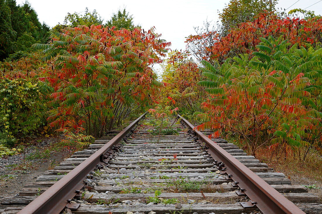 Verlassene Eisenbahnschienen, Quebec, Kanada