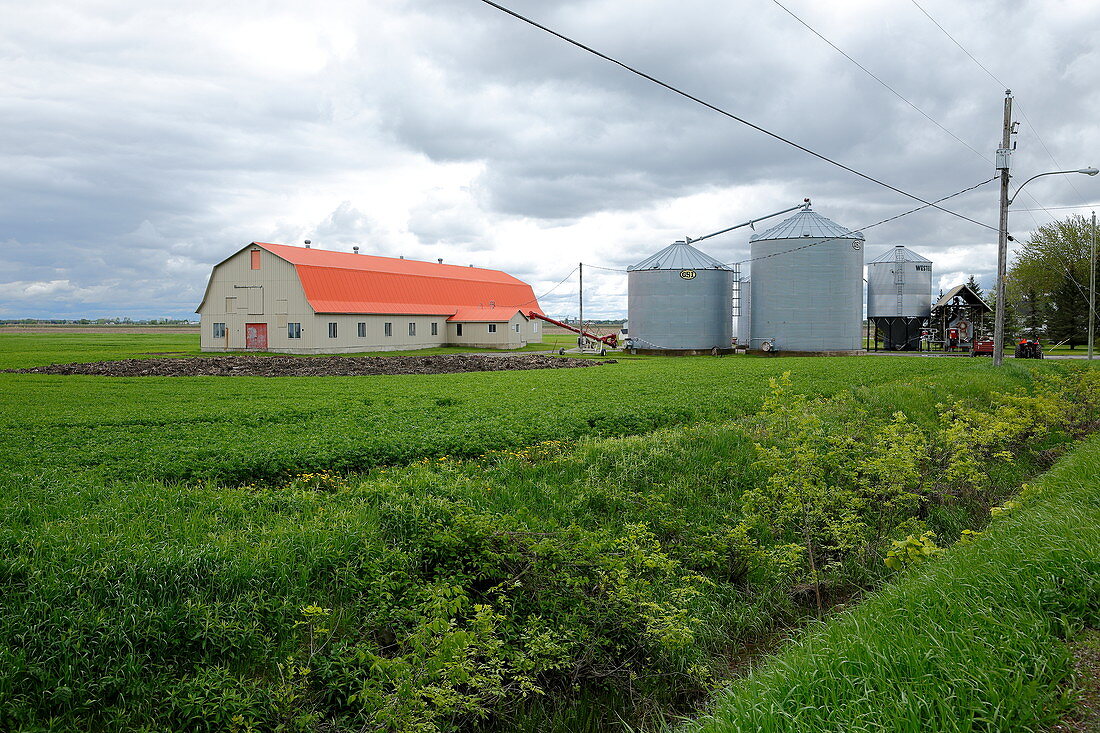 Bauernhof, Quebec, Kanada