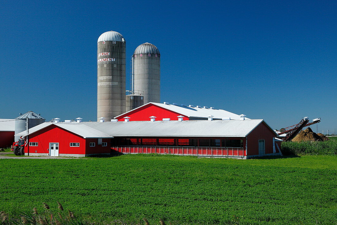 Rote Farm in einem Feld, Quebec, Kanada