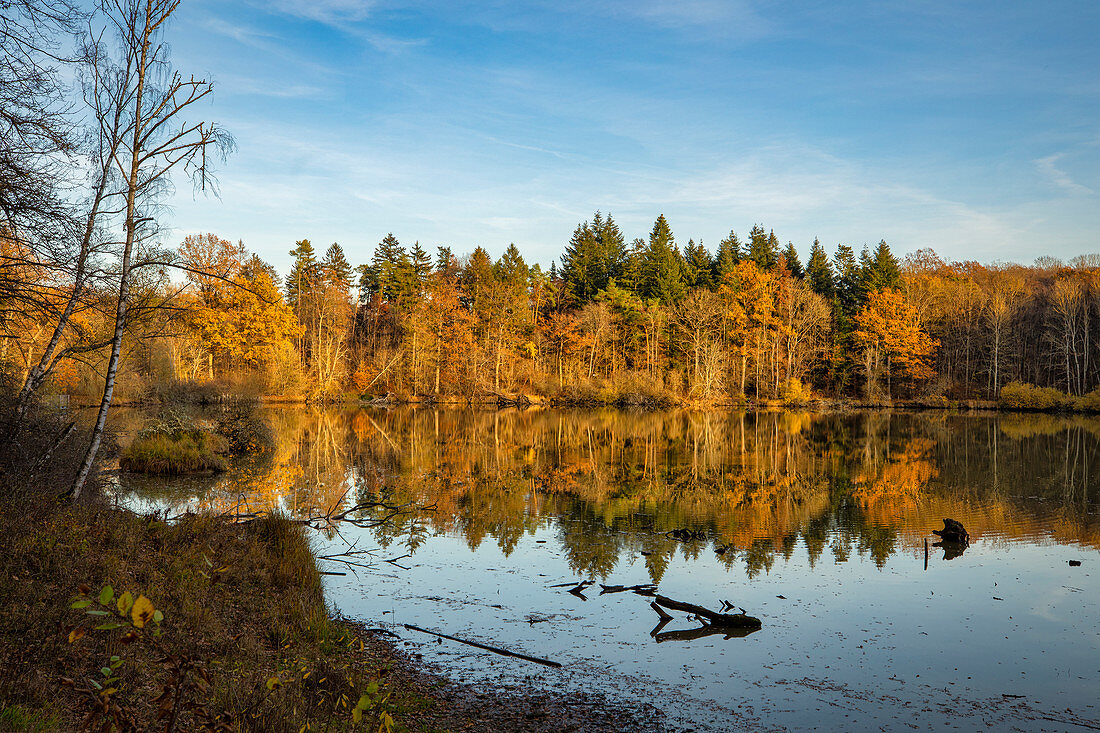 Autumn at Wolfsee near Dornheim, Iphofen, Kitzingen, Lower Franconia, Franconia, Bavaria, Germany, Europe