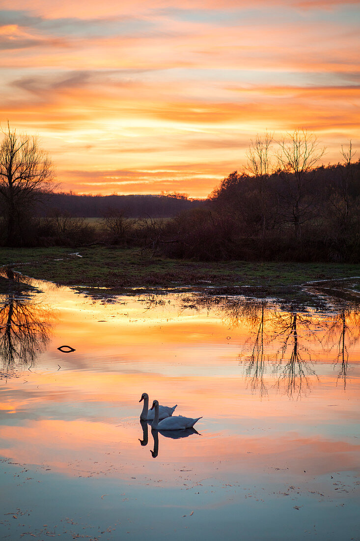 Abendglühen am Schenkensee bei Dornheim, Iphofen, Kitzingen, Unterfranken, Franken, Bayern, Deutschland, Europa