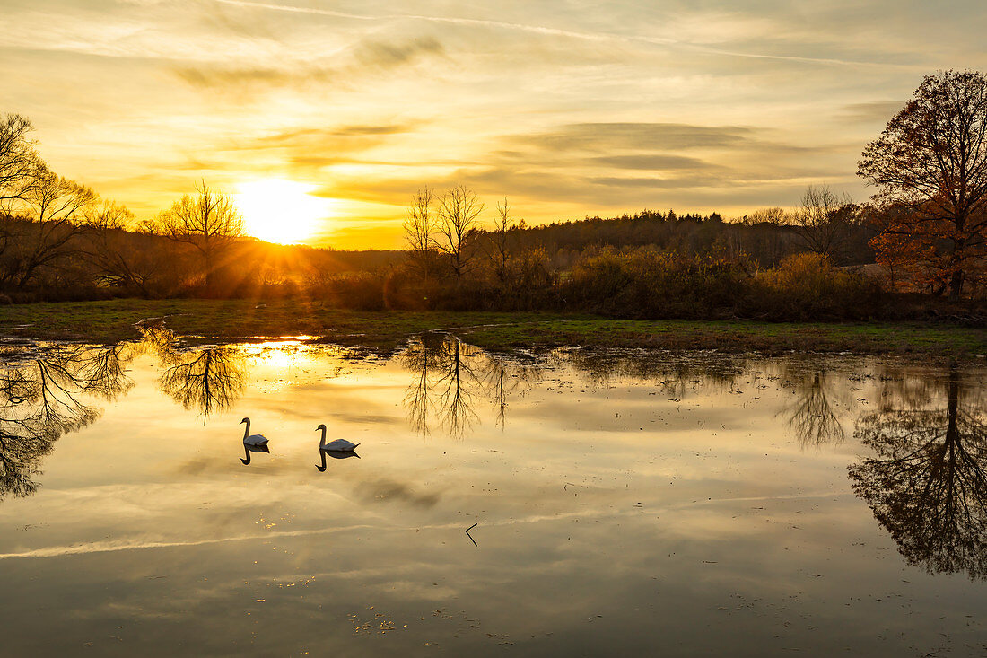 Sunset at Schenkensee near Dornheim, Iphofen, Kitzingen, Lower Franconia, Franconia, Bavaria, Germany, Europe