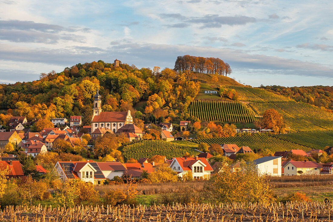 Blick auf Castell im Herbst, Kitzingen, Unterfranken, Franken, Bayern, Deutschland, Europa