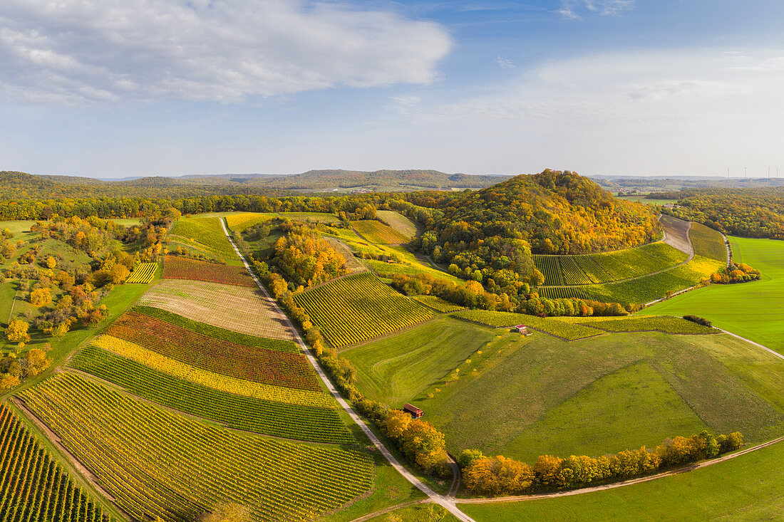 Vogelsang vineyards in the southern Steigerwald, Markt Einersheim, Iphofen, Kitzingen, Lower Franconia, Franconia, Bavaria, Germany, Europe