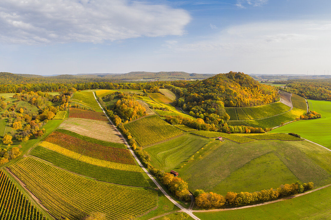 Weinlage Vogelsang im südlichen Steigerwald, Markt Einersheim, Iphofen, Kitzingen, Unterfranken, Franken, Bayern, Deutschland, Europa