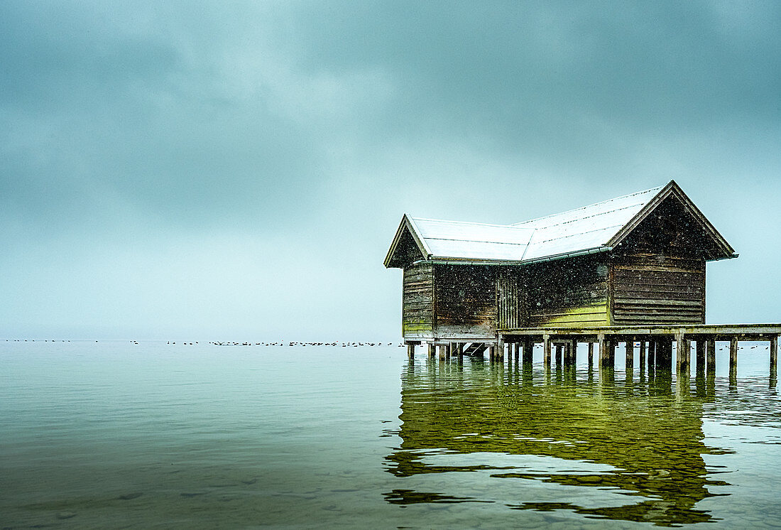 Snow-covered boat hut with jetty in the fog at Lake Starnberg, Tutzing, Bayern, Germany, Bavaria, Germany