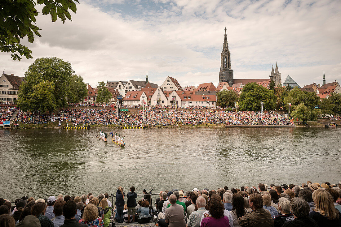 Fish jousting on the Danube in Ulm, view of the old town and Ulm Minster, Swabian Alb, Baden-Württemberg, Germany
