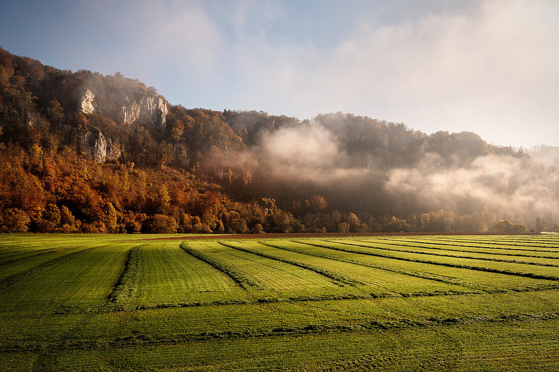 Nebel verzieht sich bei den Felsen im Naturpark Oberes Donautal, Donau, Deutschland