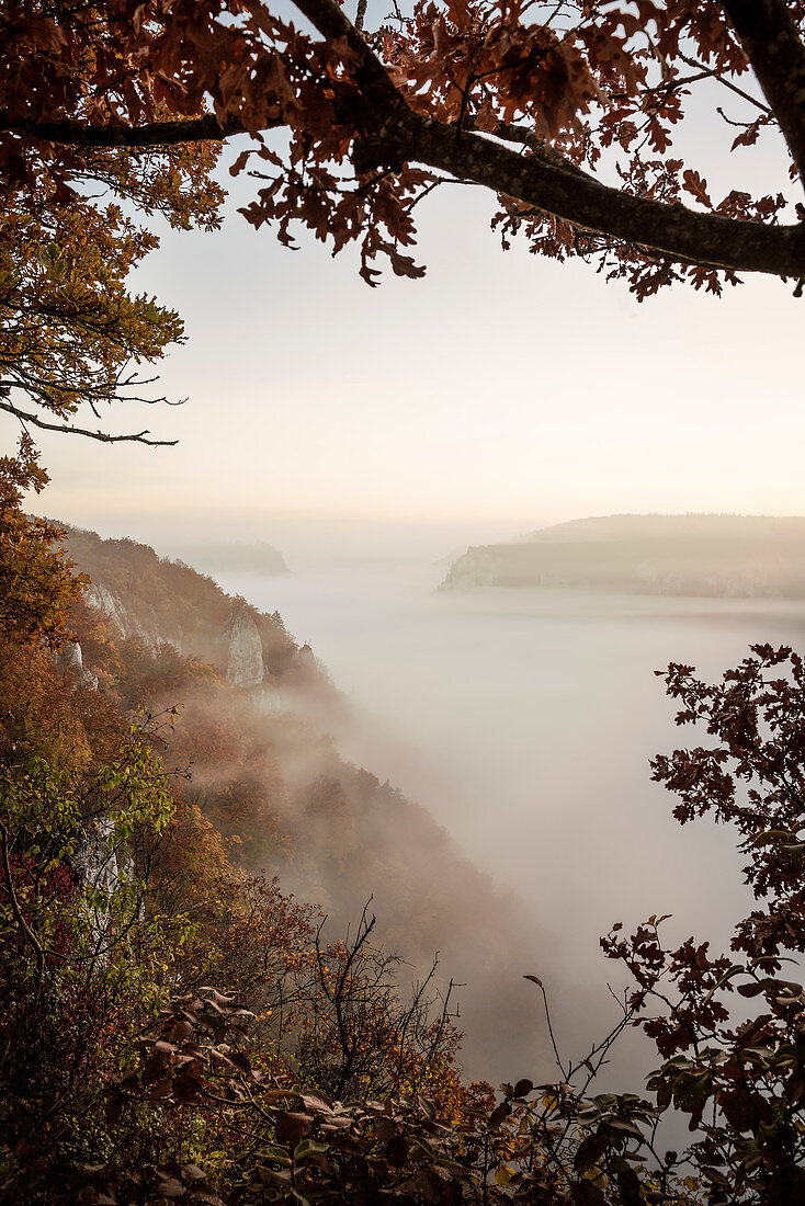 Blick über Nebeldecke, Nebel, Naturpark Oberes Donautal, Donau, Deutschland