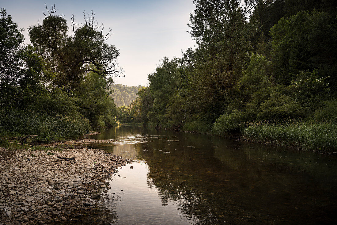 the Danube at Mühlheim an der Donau, Baden-Württemberg, Germany