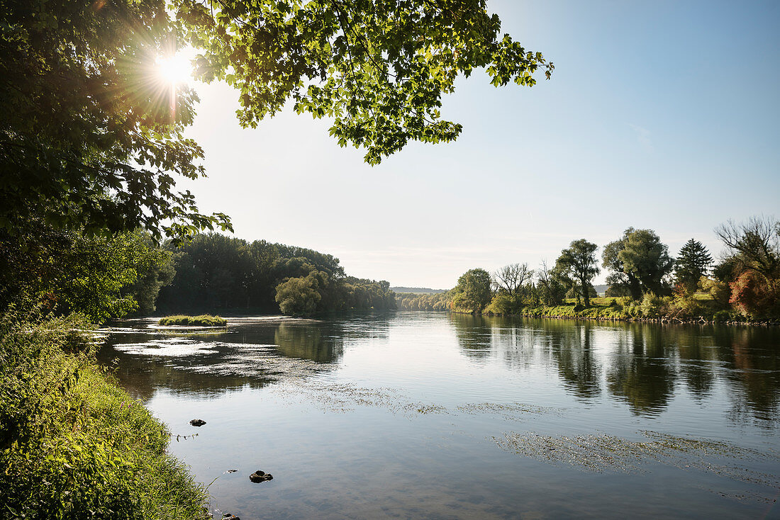 the Danube on the edge of the old town, Neuburg an der Donau, District of Neuburg-Schrobenhausen, Bavaria, Germany