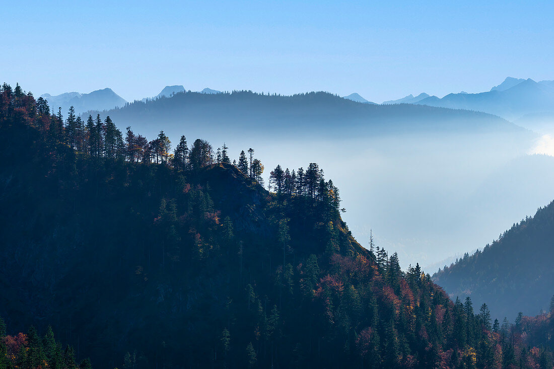 Bergwald im Nebel oberhalb der Jachenau, Oberbayern, Bayern, Deutschland, Europa