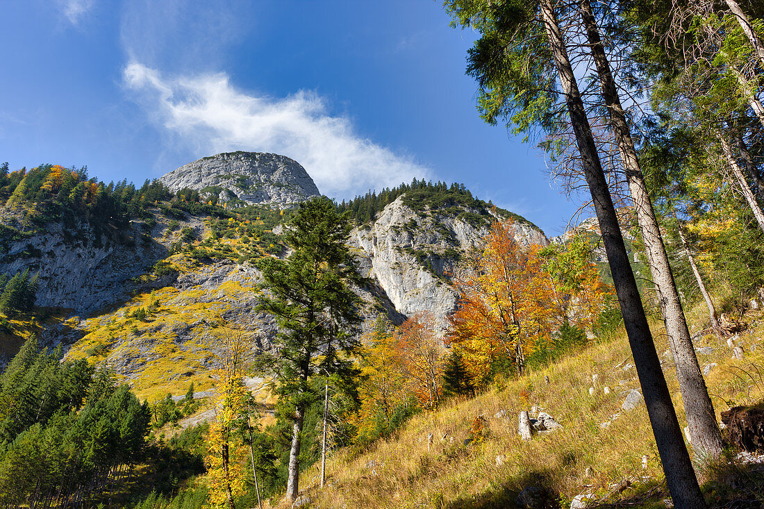 On the way to the Kleiner Ahornboden with a view of the Stuhlkopf, Hinterriß, Karwendel, Tyrol, Austria, Europe