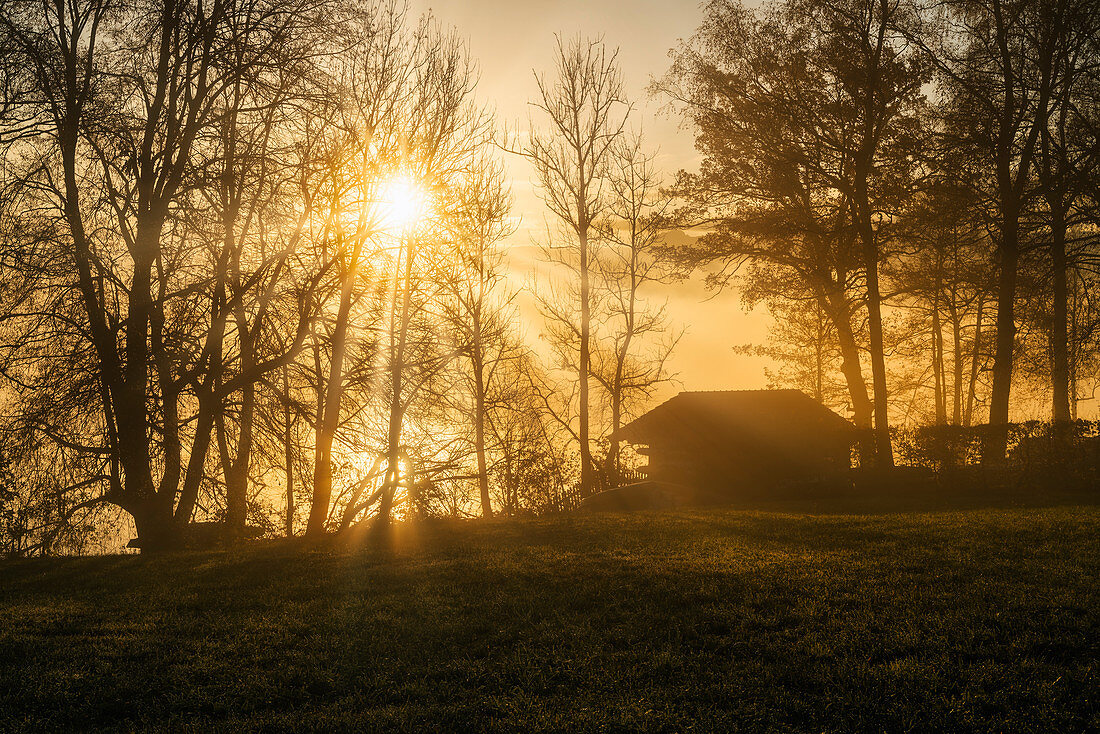 Sonniger Herbstmorgen am Staffelsee, Uffing, Oberbayern, Bayern, Deutschland