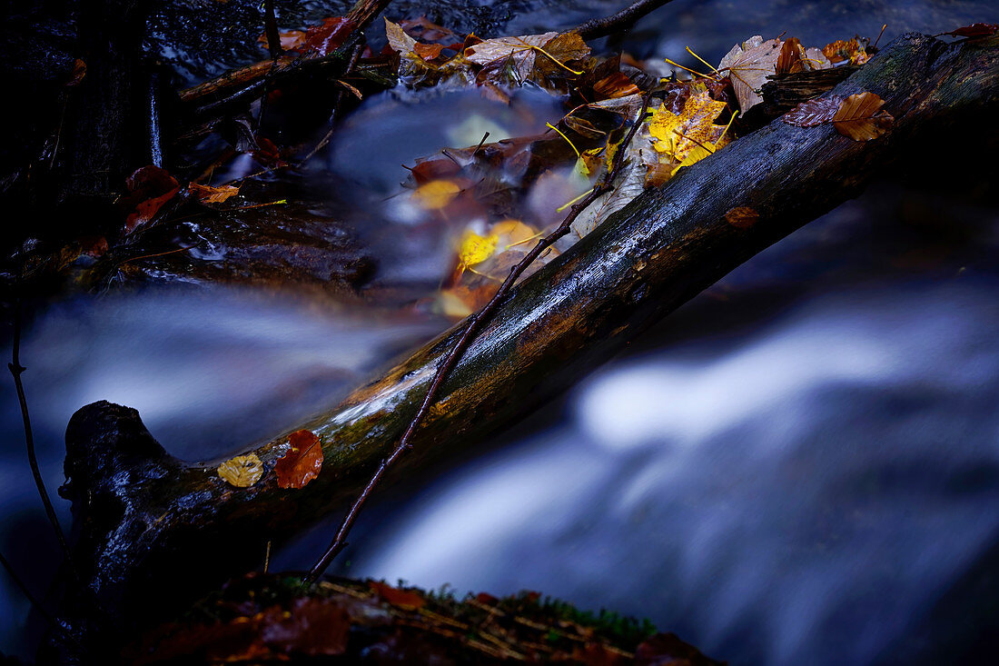 Small stream in autumn, Bavaria, Germany, Europe
