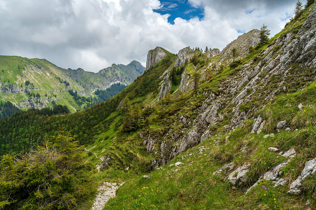 Abstieg vom Lösertaljoch mit Blick auf den Hasentalkopf und die Große Klammspitze, Ammergauer Alpen, Bayern, Deutschland, Europa
