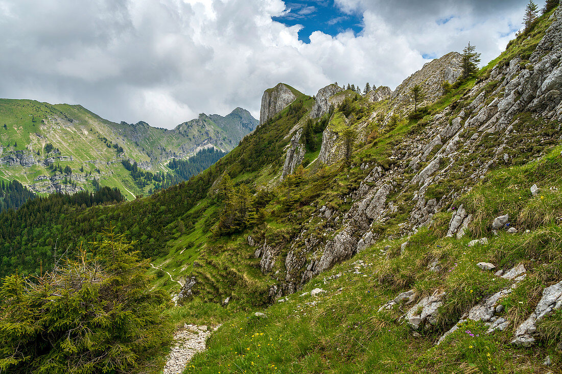 Descent from the Lösertaljoch with a view of the Hasentalkopf and the Große Klammspitze, Ammergau Alps, Bavaria, Germany, Europe