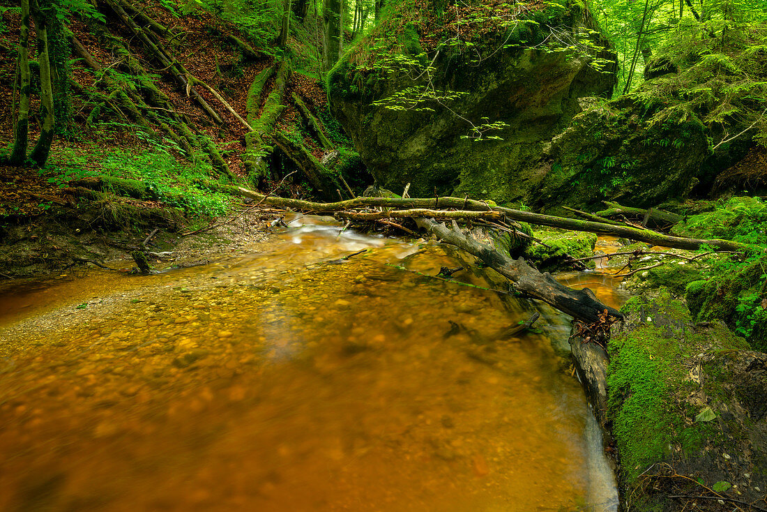 Im Kienbachtal auf dem Weg von Herrsching zum Kloster Andechs, Oberbayern, Bayern, Deutschland, Europa