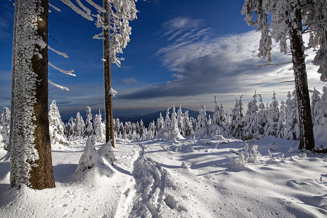 Winterliche Märchenlandschaft, Großer Feldberg, Taunus, Hessen, Deutschland