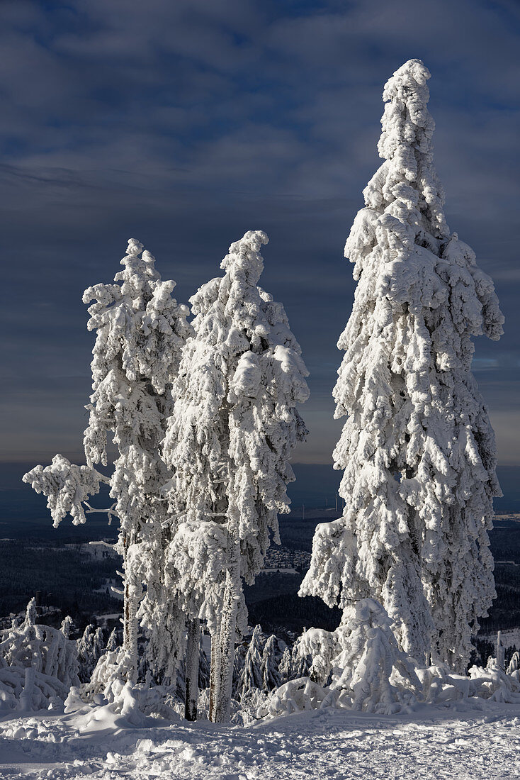 Winterliche Märchenlandschaft, Großer Feldberg, Taunus, Hessen, Deutschland