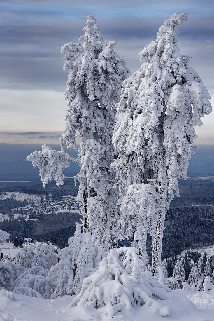 Exceptional fairytale landscape on the Feldberg, Taunus, Hesse, Germany.