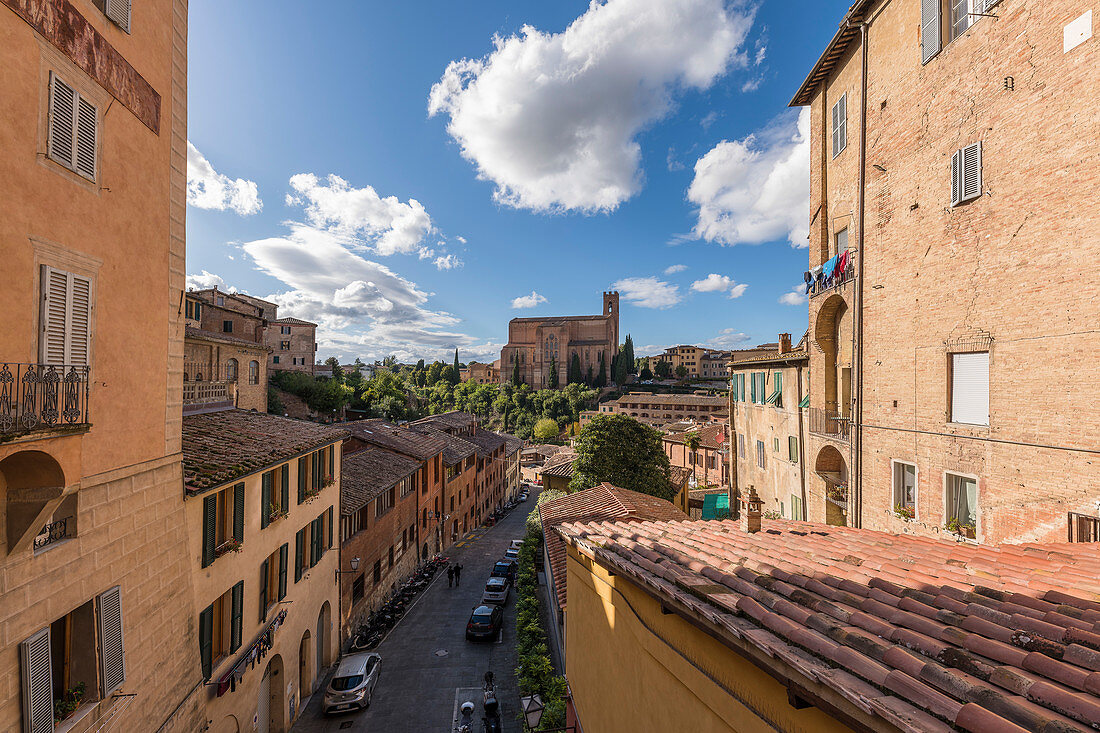 Basilica del San Francesco, Siena, Provinz Siena, Toskana, Italien 