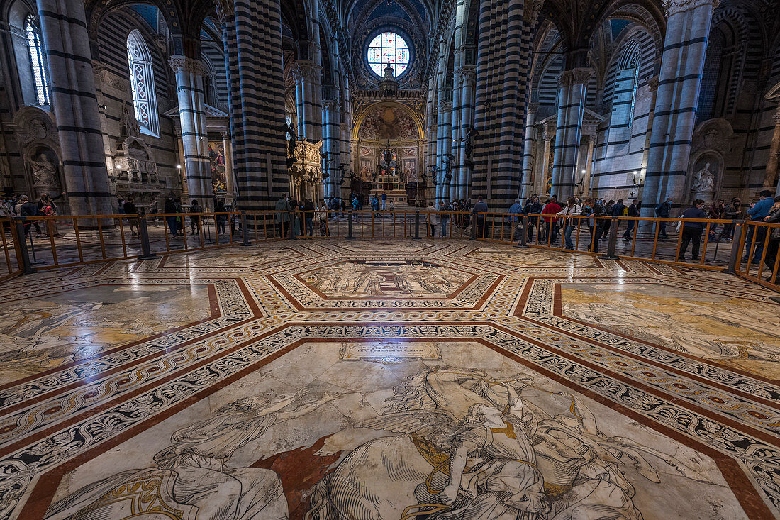Marble floor in the Duomo of Siena, Siena, Province of Siena, Tuscany, Italy
