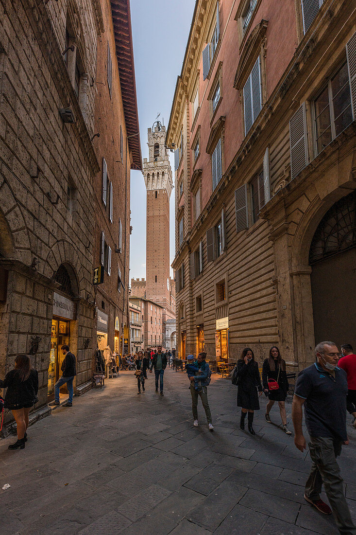 Evening in the streets of Siena, Province of Siena, Tuscany, Italy