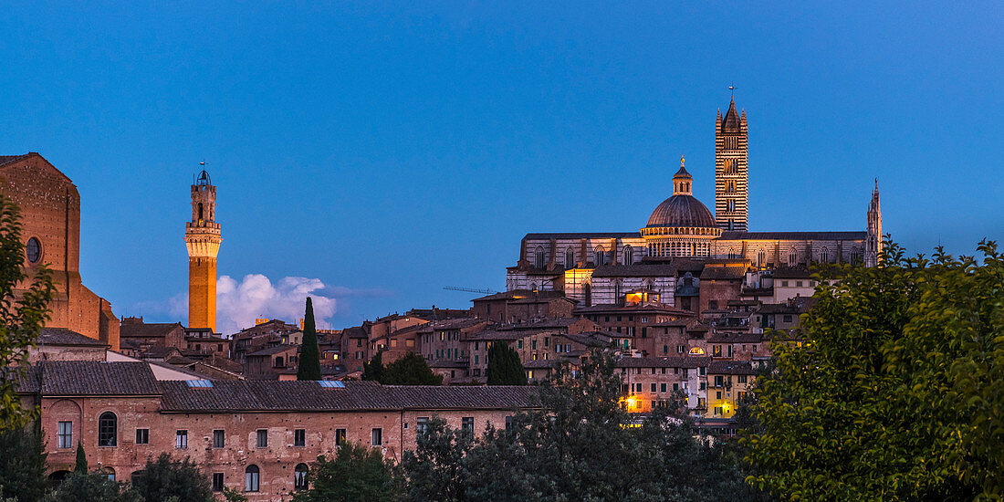 Torre del Mangia und Dom von Siena zur blauen Stunde, Siena, Provinz Siena, Toskana, Italien 