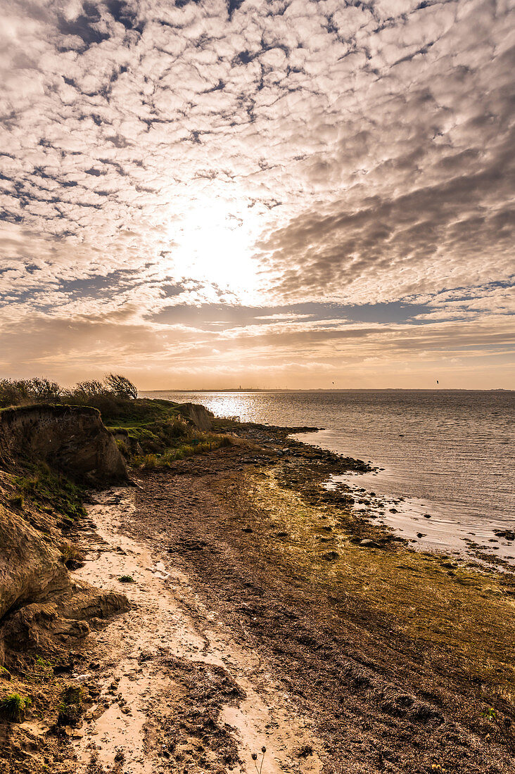 Hiking trail on the steep coast of Gold on Fehmarn, Baltic Sea, Ostholstein, Schleswig-Holstein, Germany