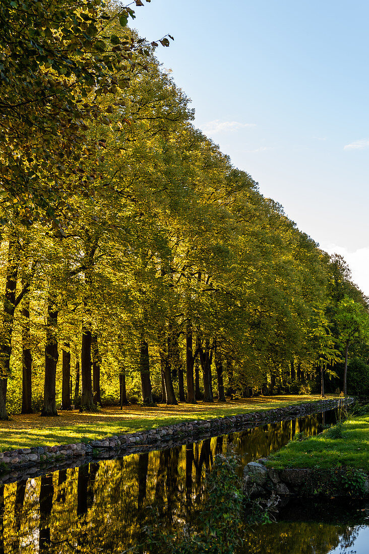 Herbstliche Lindenallee im Schlosspark von Eutin, Naturpark Holsteinische Schweiz, Ostholstein, Schleswig-Holstein, Deutschland