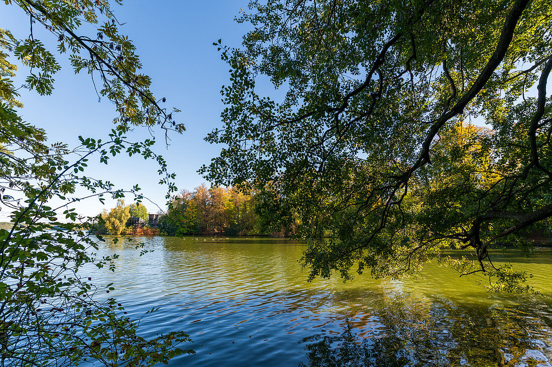 Blick auf den großen Eutiner See mit der Freilichtbühne im Hintergrund, Naturpark Holsteinische Schweiz, Ostholstein, Schleswig-Holstein, Deutschland