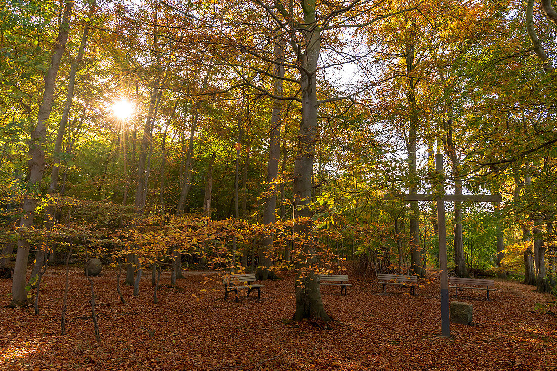 View of the place of the farewell ceremony in the mourning forest at the Eitz in Weissenhäuser Strand, Baltic Sea, Ostholstein, Schleswig-Holstein, Germany