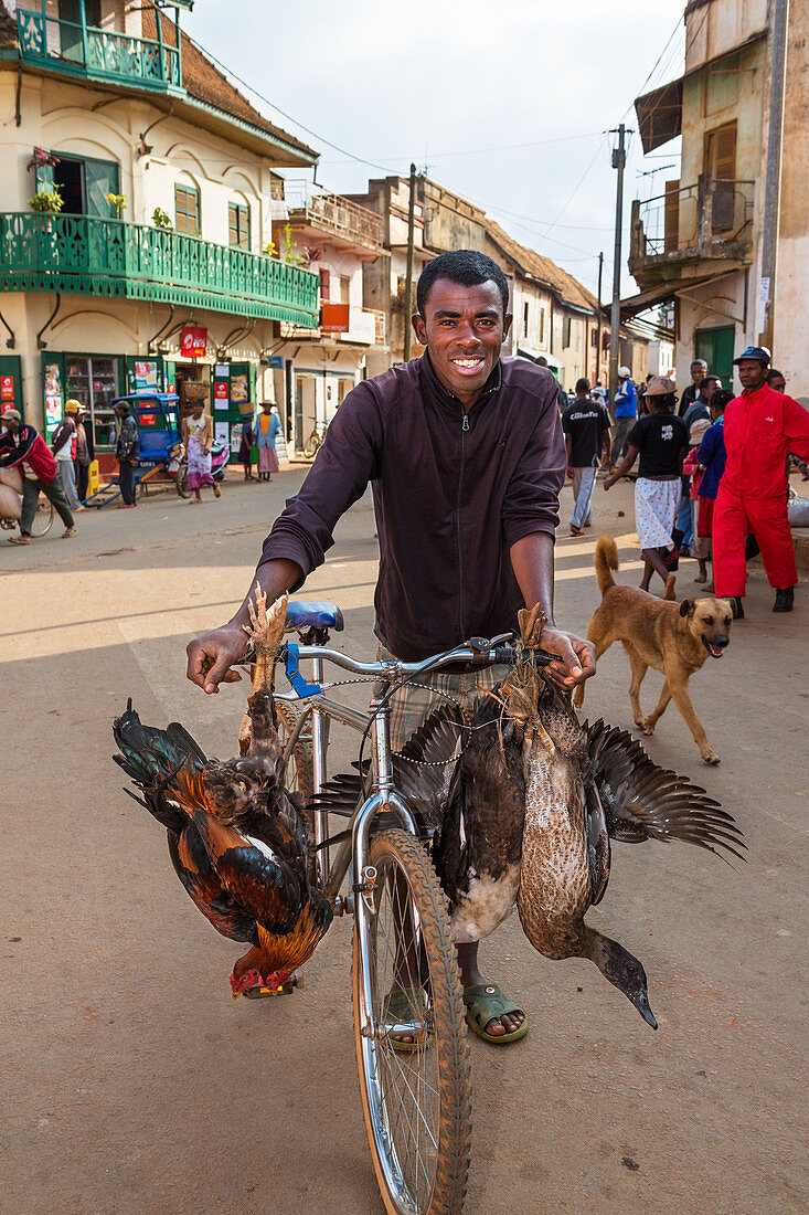 Mann transportiert Geflügel mit Fahrrad, Stamm der Betsileo, Ambalavao, Fianarantsoa Region, Madagaskar, Afrika