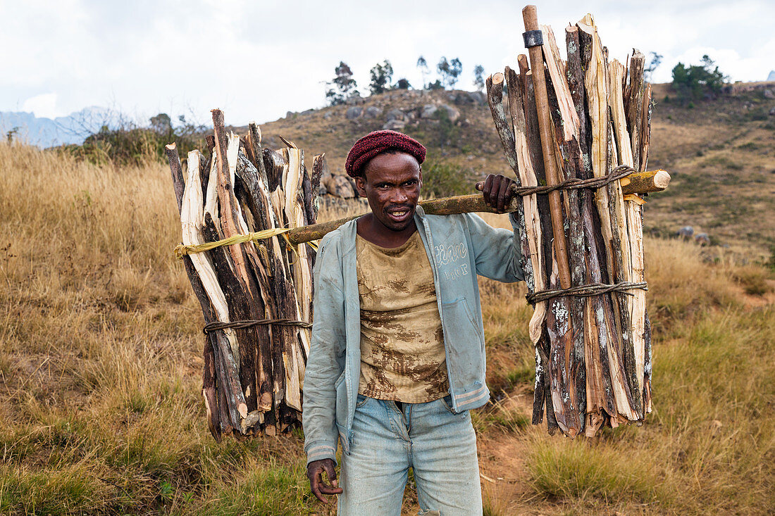 Madagasse trägt Brennholz, Andringitra Gebirge, Süd-Madagaskar, Afrika