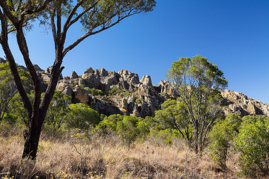 Isalo National Park near Ranohira, Ihorombe Region, Southern Madagascar, Africa