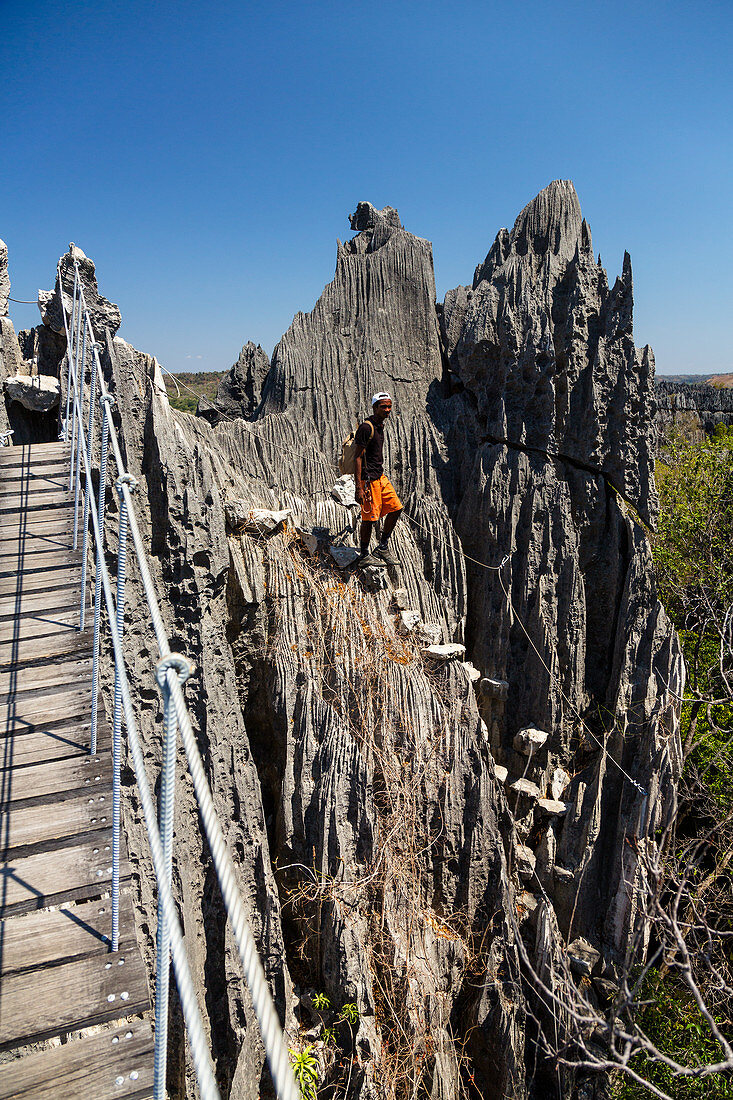 Karstlandschaft Tsingy de Bemaraha, Nationalpark Tsingy-de-Bemaraha, Hängebrücke, Mahajanga, Madagaskar, Afrika