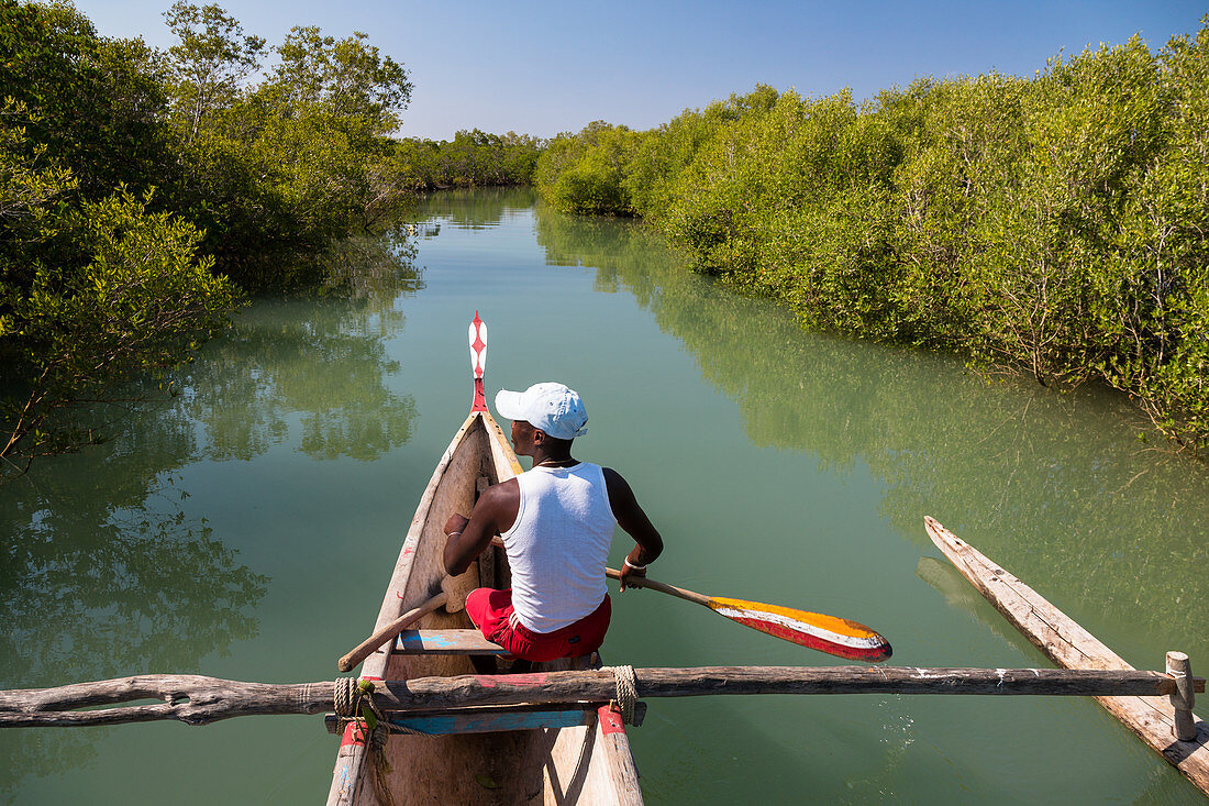Boat tour in the mangroves near Morondava, Madagascar, Africa