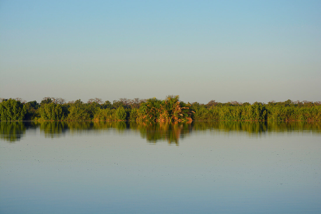 Gambia; Central River Region; Gambia-Fluss bei Kuntaur; Blick auf das Westufer und den Gambia River Nationalpark