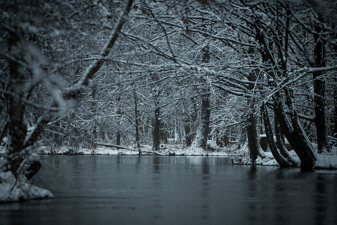 Schnee Flusslandschaft zur blauen Stunde im Spreewald, Deutschland, Brandenburg, Spreewald