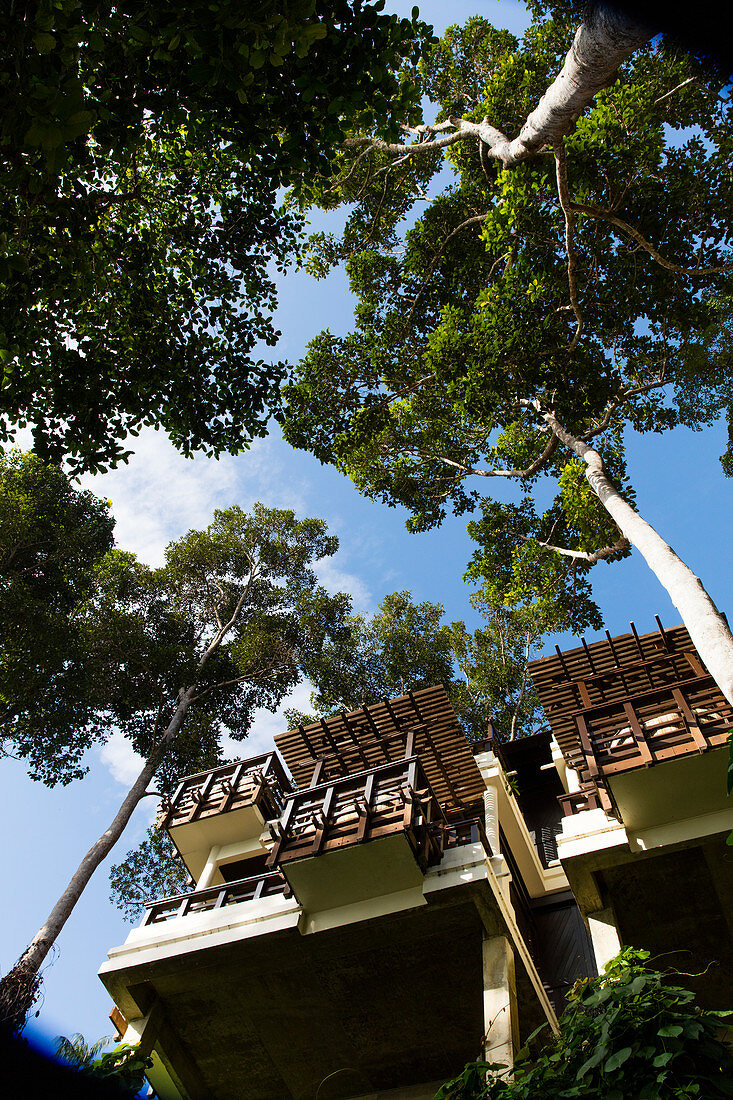 View from below of modern, treetop bungalows in the jungle. Borneo, Indonesia.