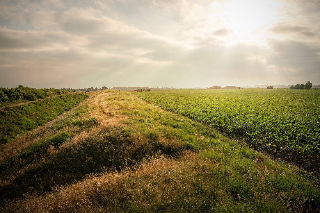 UNESCO World Heritage Site “Archaeological Border Complex Haithabu and Danewerk”, ramparts and burial mounds, Dannevirke, Schleswig-Holstein, Germany