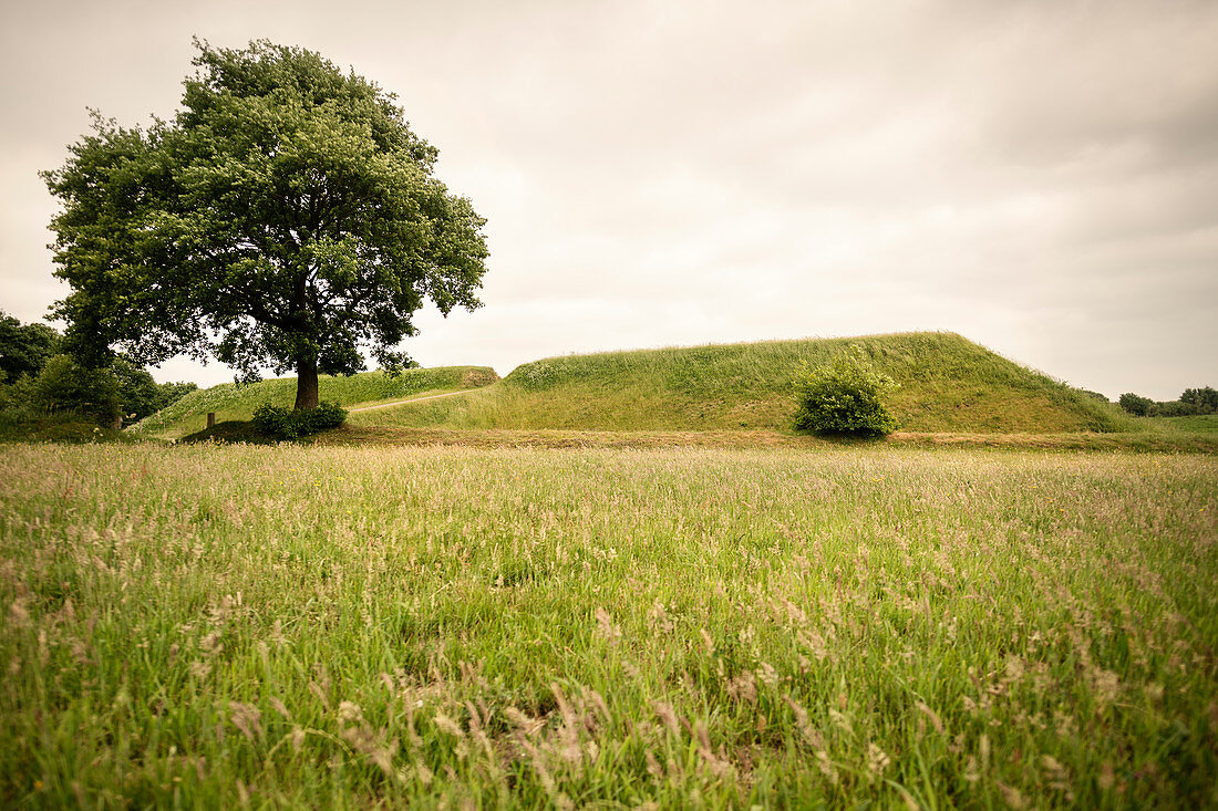 UNESCO Weltkulturerbe „Archäologischer Grenzkomplex Haithabu und Danewerk“, Schanze 14, Dannevirke, Schleswig-Holstein, Deutschland