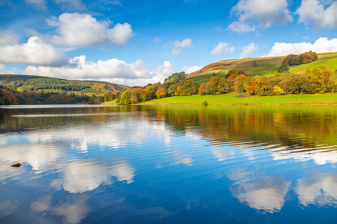 View of autumn colours at Ladybower Reservoir, Derbyshire, Peak District National Park, England, United Kingdom, Europe