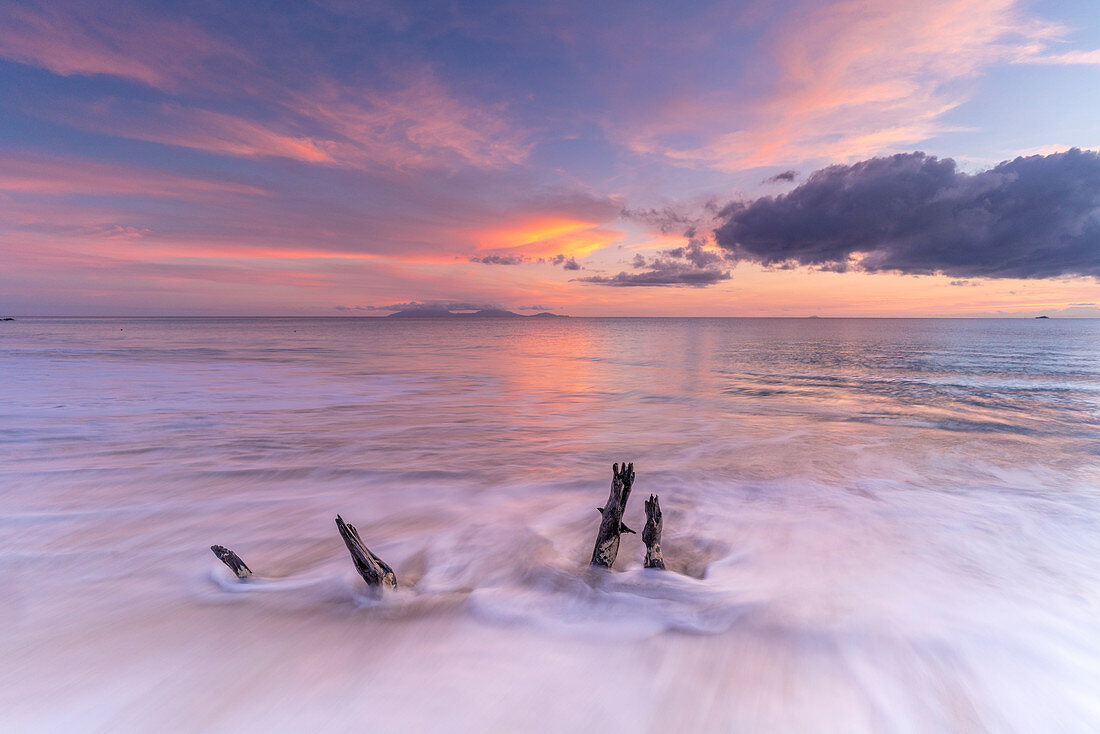 Wellen, die auf Baumstämmen am Sandstrand bei Sonnenuntergang, Antillen, Karibik, Mittelamerika zusammenstoßen