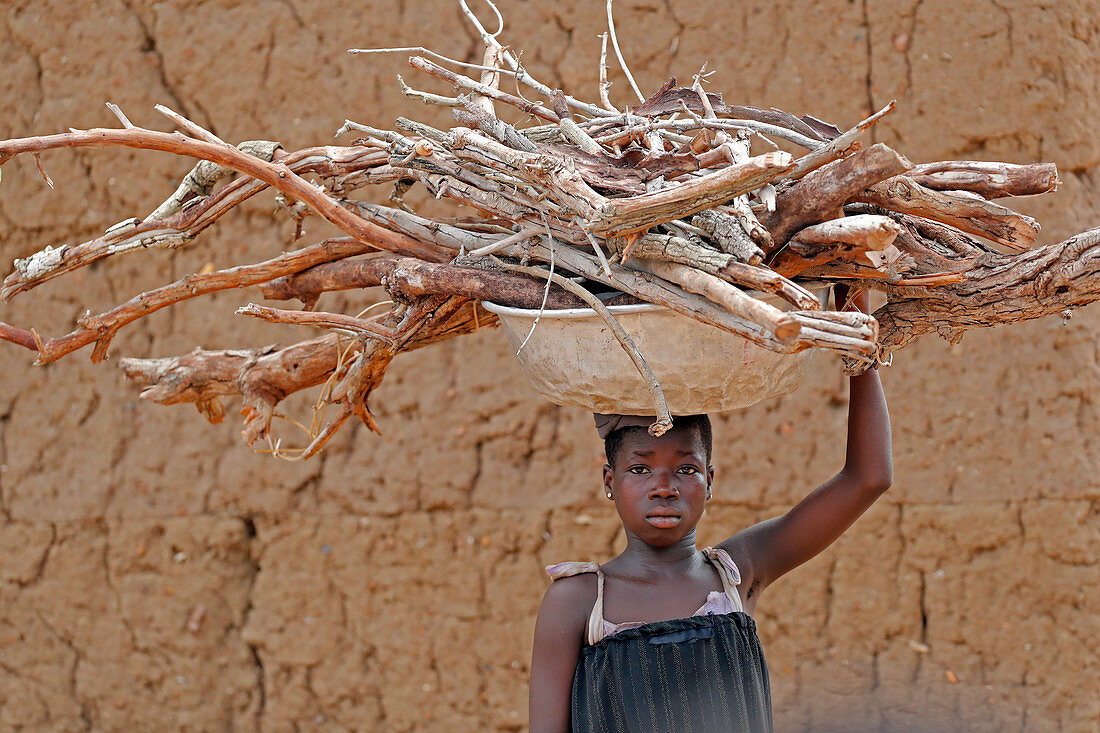 Junges Mädchen, das Brennholz auf ihrem Kopf trägt, Datcha-Attikpaye, Togo, Westafrika, Afrika