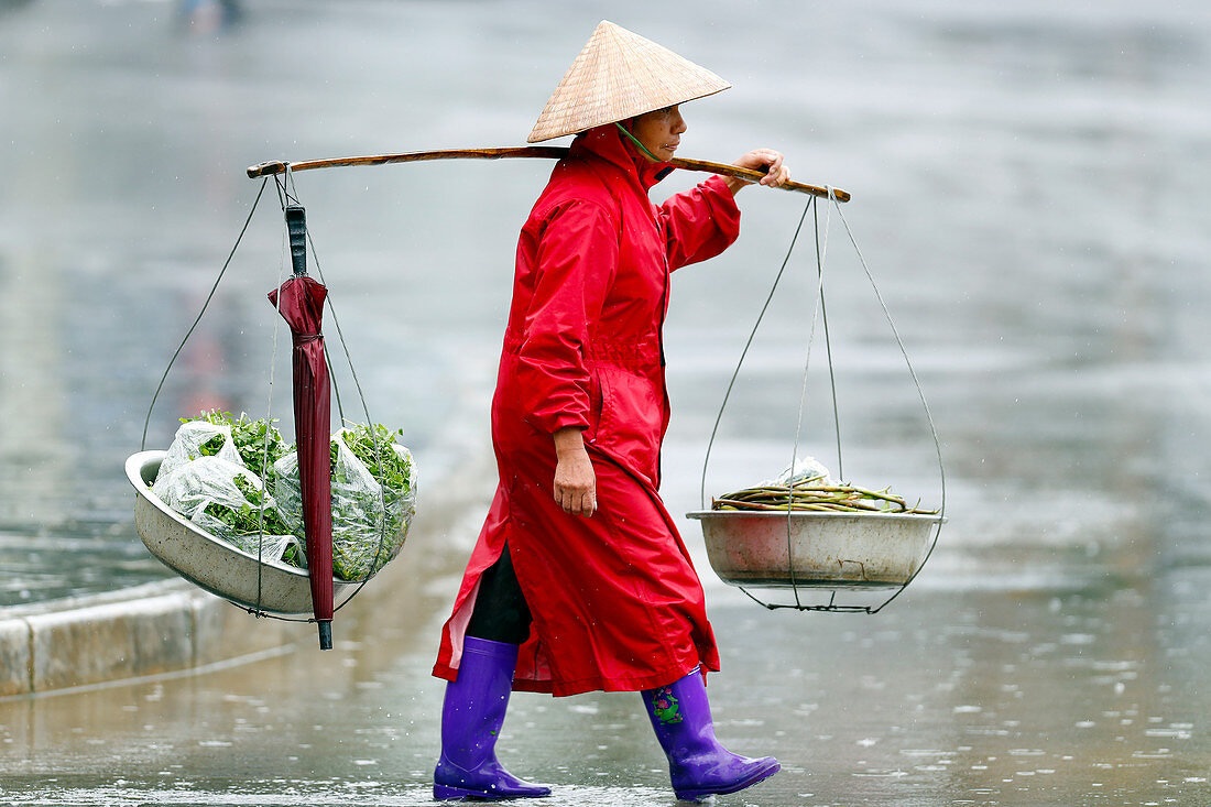 Monsunzeit (Regenzeit), Sapa, Vietnam, Indochina, Südostasien, Asien